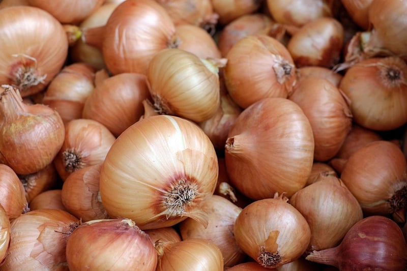 Sustainable Eating